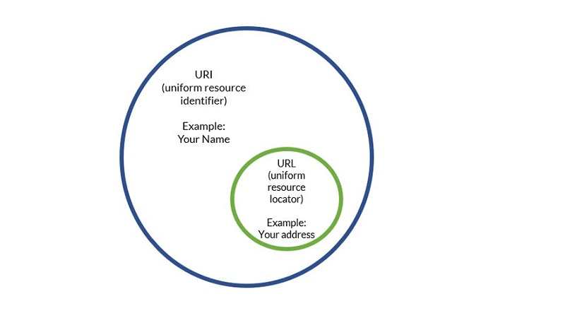 URI Web Development Languages post infographic
