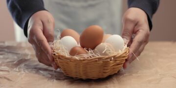 man takes eggs from the basket and put it to the baxoes. Small farmm worker